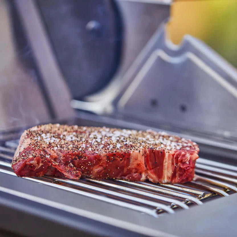 Monument Grills Denali 605Pro - Stainless Smart Propane Gas Grill - Image 97