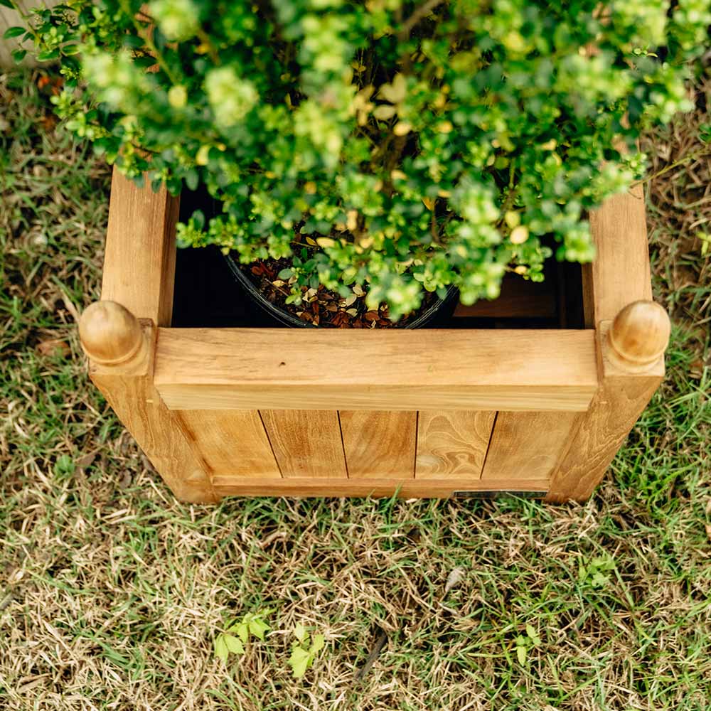 Scratch and Dent, Grade A Teak 33" Square Planter Box - Image 6