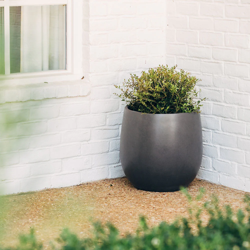 Hardy Planters - Image 9