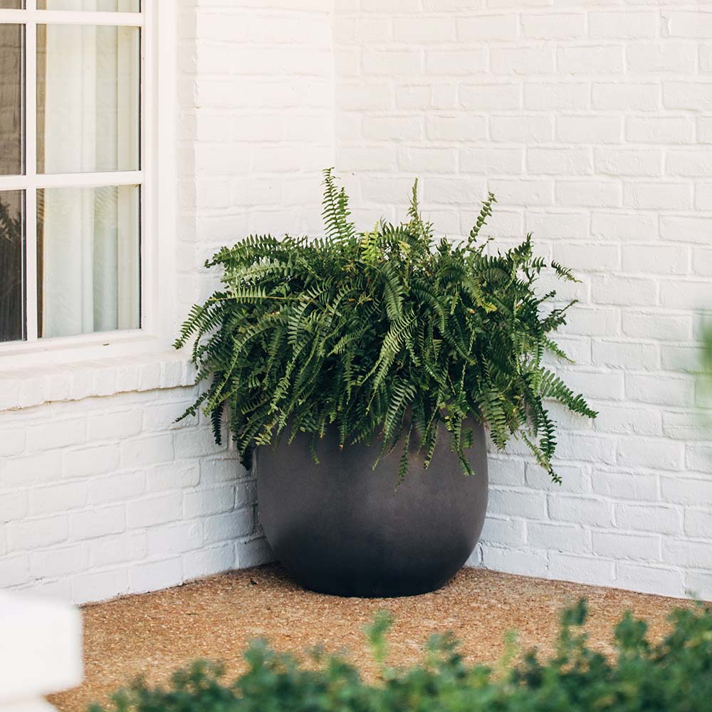 Hardy Planters - Image 21