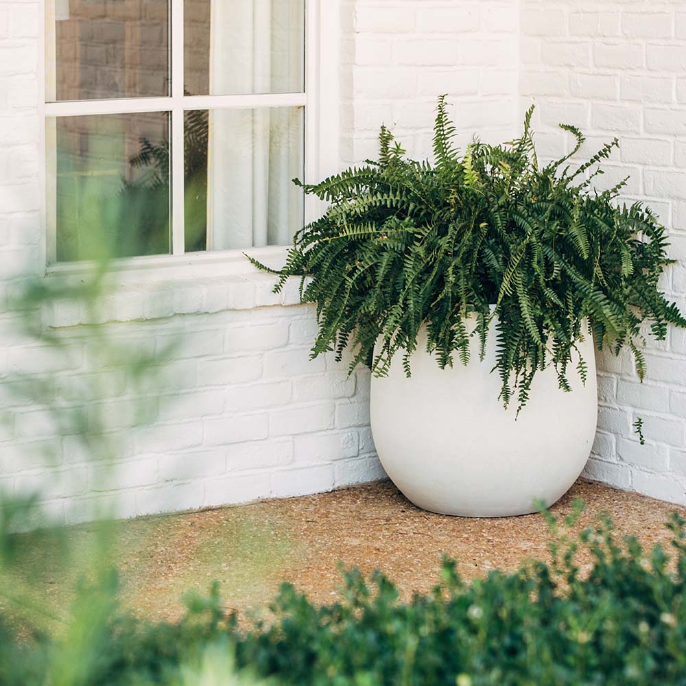 Hardy Planters - Image 15