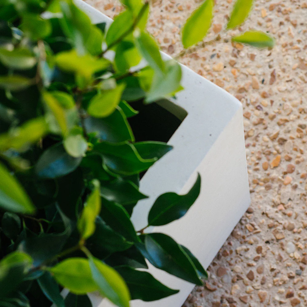 Short Box Planters - Image 17