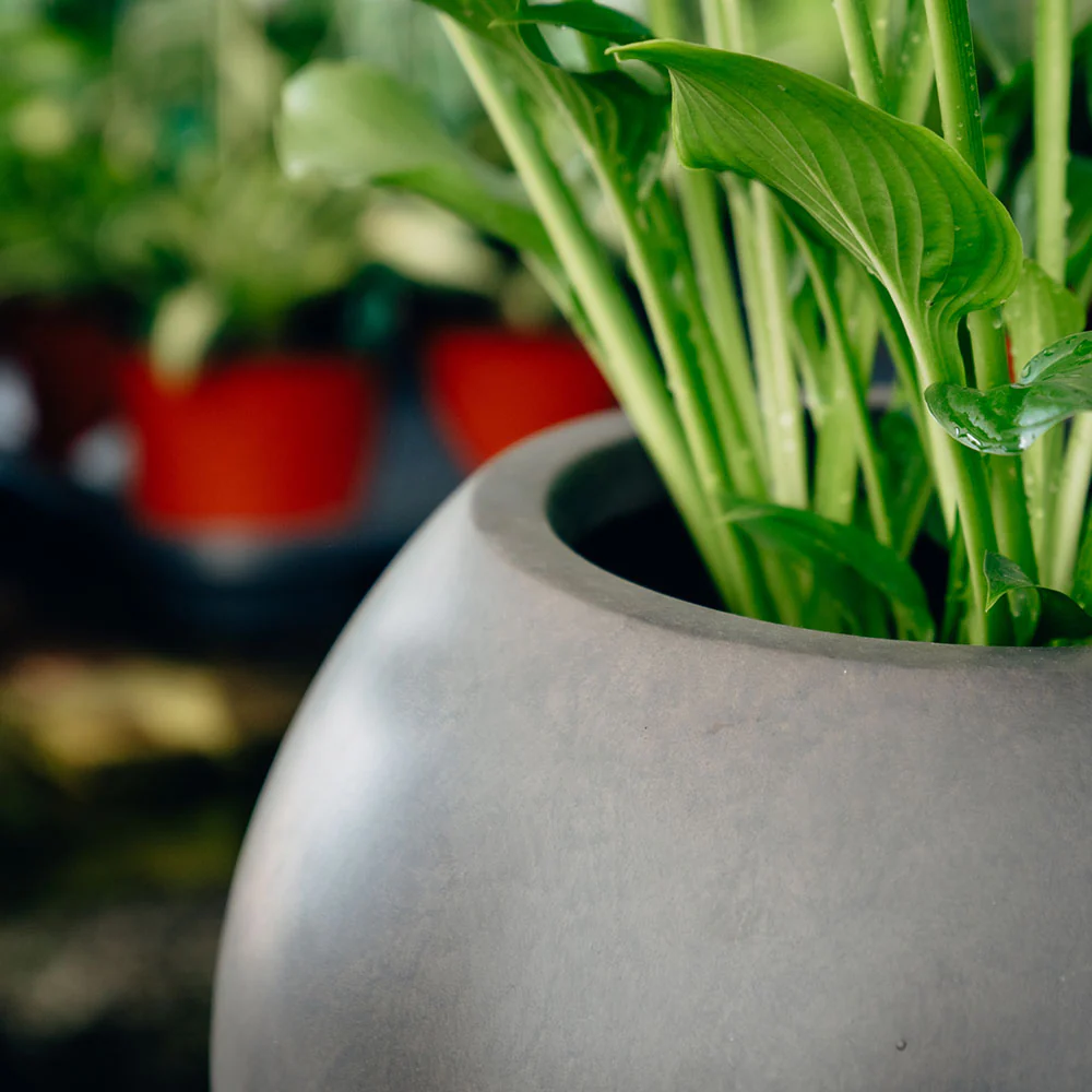 Sphere Planters - Image 12